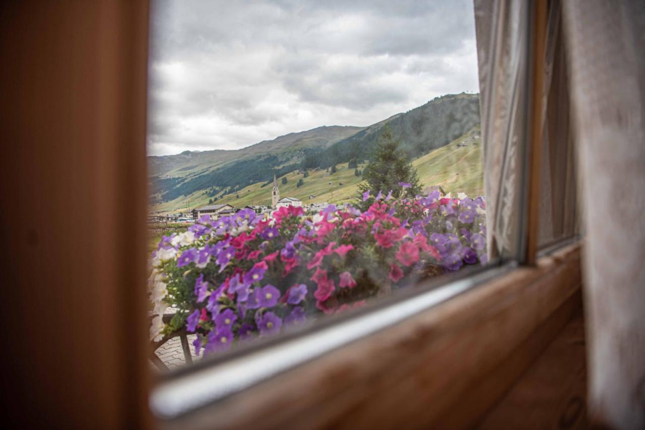 Family House Amalia Myholidaylivigno Zewnętrze zdjęcie